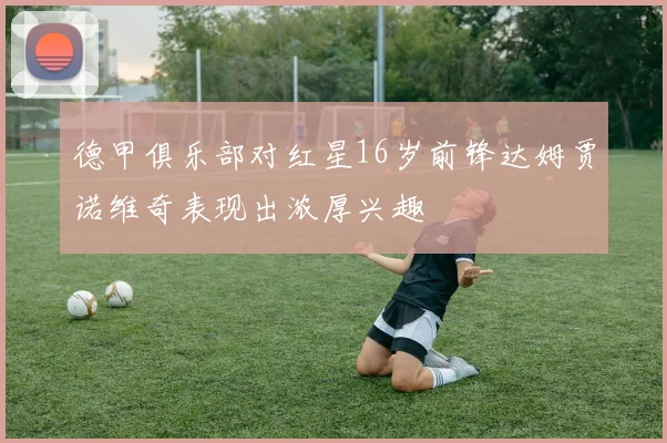 德甲俱乐部对红星16岁前锋达姆贾诺维奇表现出浓厚兴趣